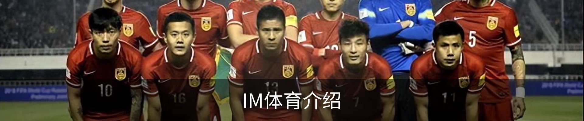 IM体育介绍